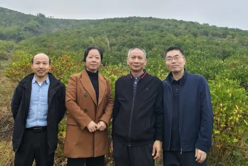 Field Visit at Our Green Planting Base of Gardenia, Pomelo and Purple Sweet Potato